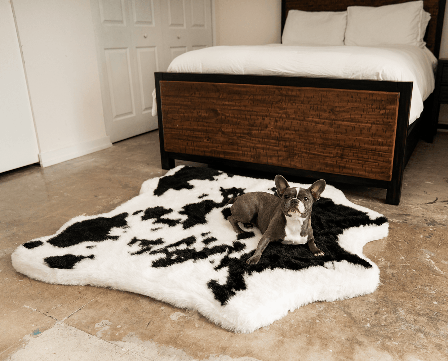 PupRug® Luxueuse Banquette en Mousse à Mémoire avec Imprimé Animal - Tissu Faux Vache Noire
