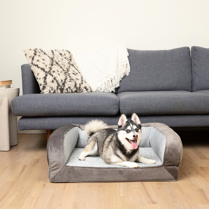 PupChill™ Refroidissante Coussin de Repos pour Chiens