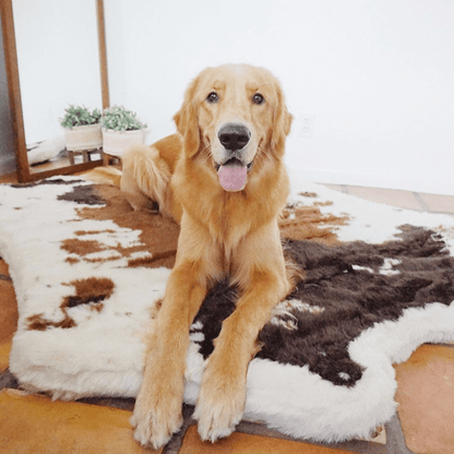 PupRug® Komfortabler Tierprint-Schaumstoff-Hundesofa – Braunes Kunst-Kuhfell