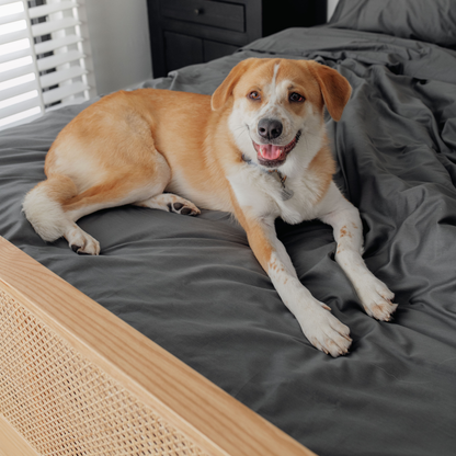 PupSheets™ Kühlendes, antibakterielles und haarresistentes Bettwäsche-Set mit Steppdecke und Kissenbezug – Graphit