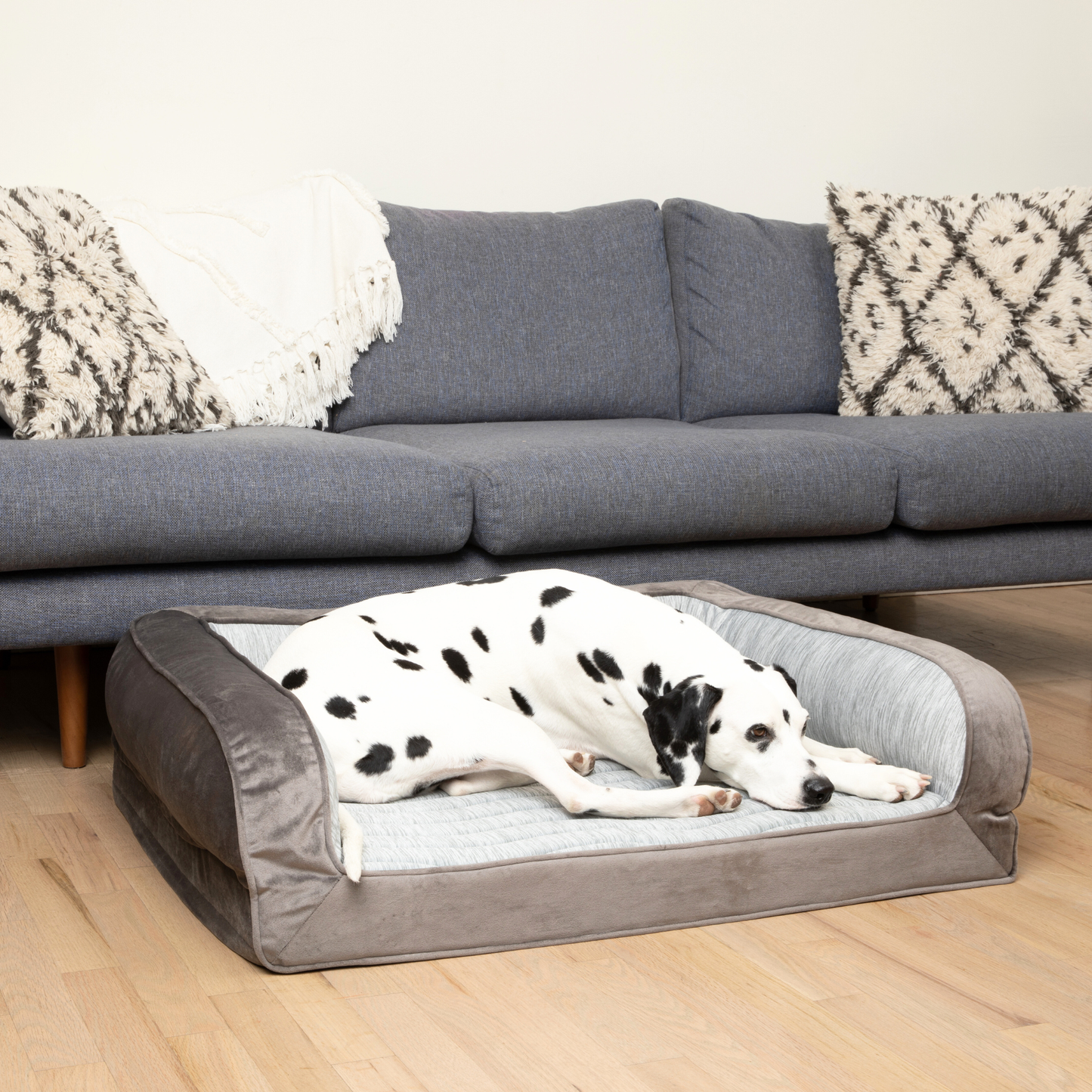 PupChill™ Refroidissante Coussin de Repos pour Chiens