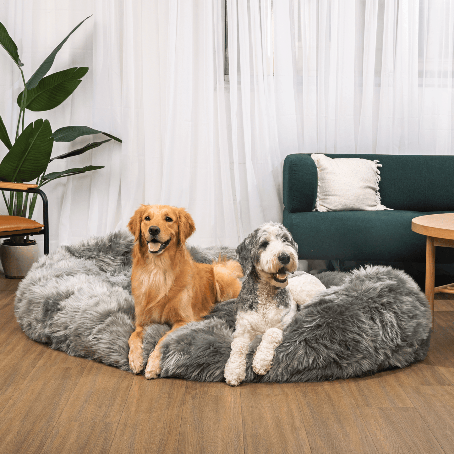 PupCloud™ Großer Plüsch-Schaumstoff-Hundebett in Anthrazitgrau Komfort und Stil vereint