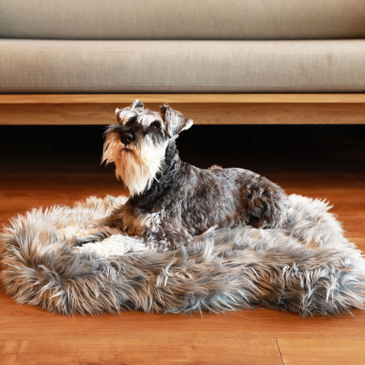 PupRug by Paw.com® Komfortables Faux-Fell Orthopädisches Hundebett – Elegantes Kurven-Design in Anthrazitgrau
