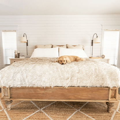 PupProtector™ Wasserdichte Kuscheldecke - Weiß mit Braunen Akzenten