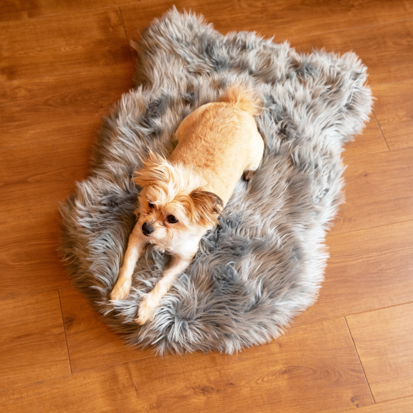 PupRug by Paw.com® Komfortables Faux-Fell Orthopädisches Hundebett – Elegantes Kurven-Design in Anthrazitgrau