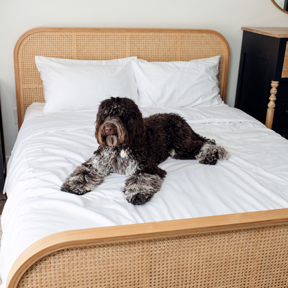 PupSheets™ Kühlender, antimicrobieller und haarresistenter Bettbezug- und Kissenbezug-Set - Weiß