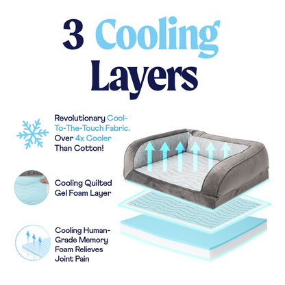 PupChill™ Refroidissante Coussin de Repos pour Chiens
