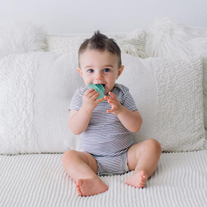 Discover freshness with Cutie Coolers™