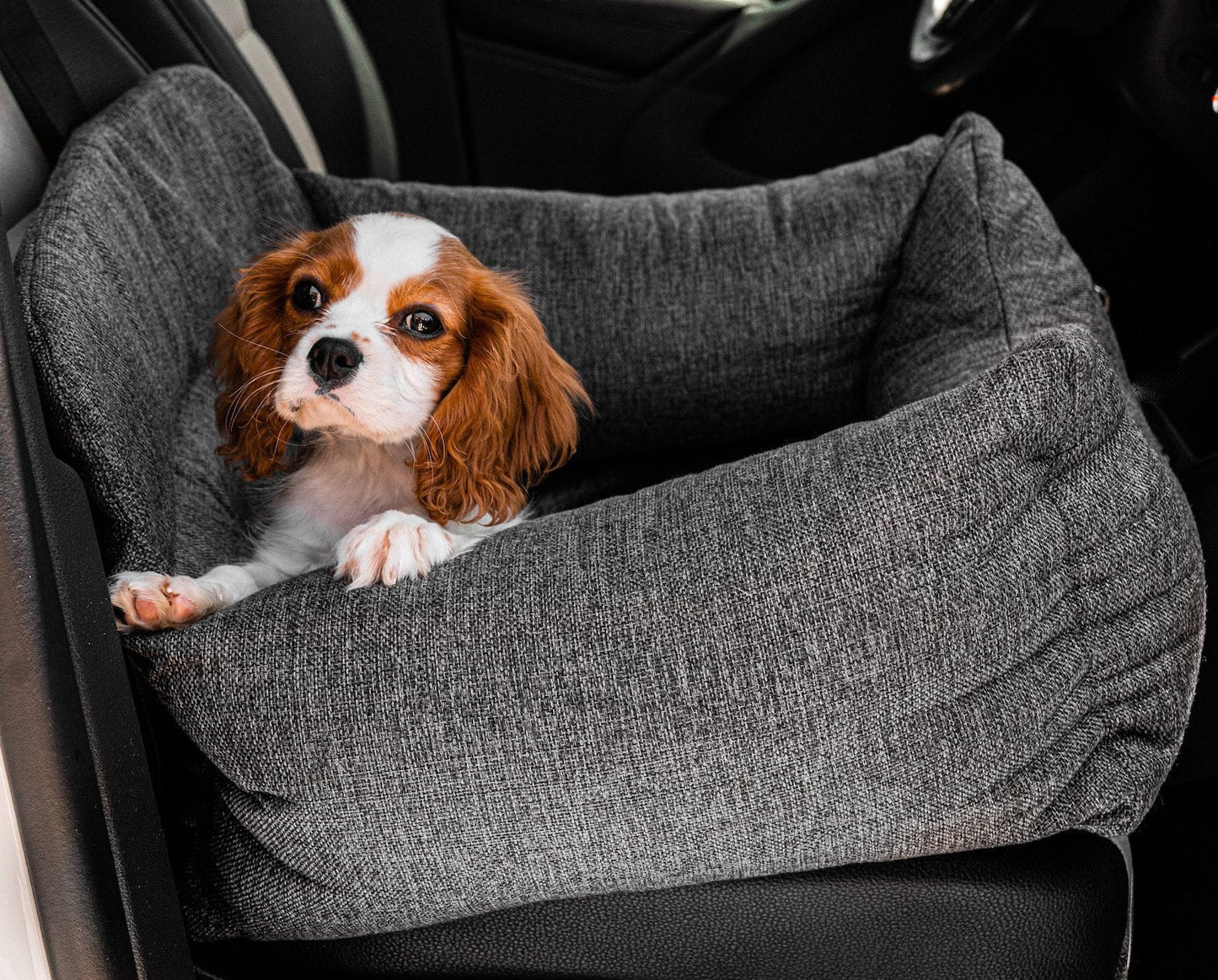 PupProtector™ Orthopedic Memory Foam Dog Car Bed for Ultimate Comfort and Support