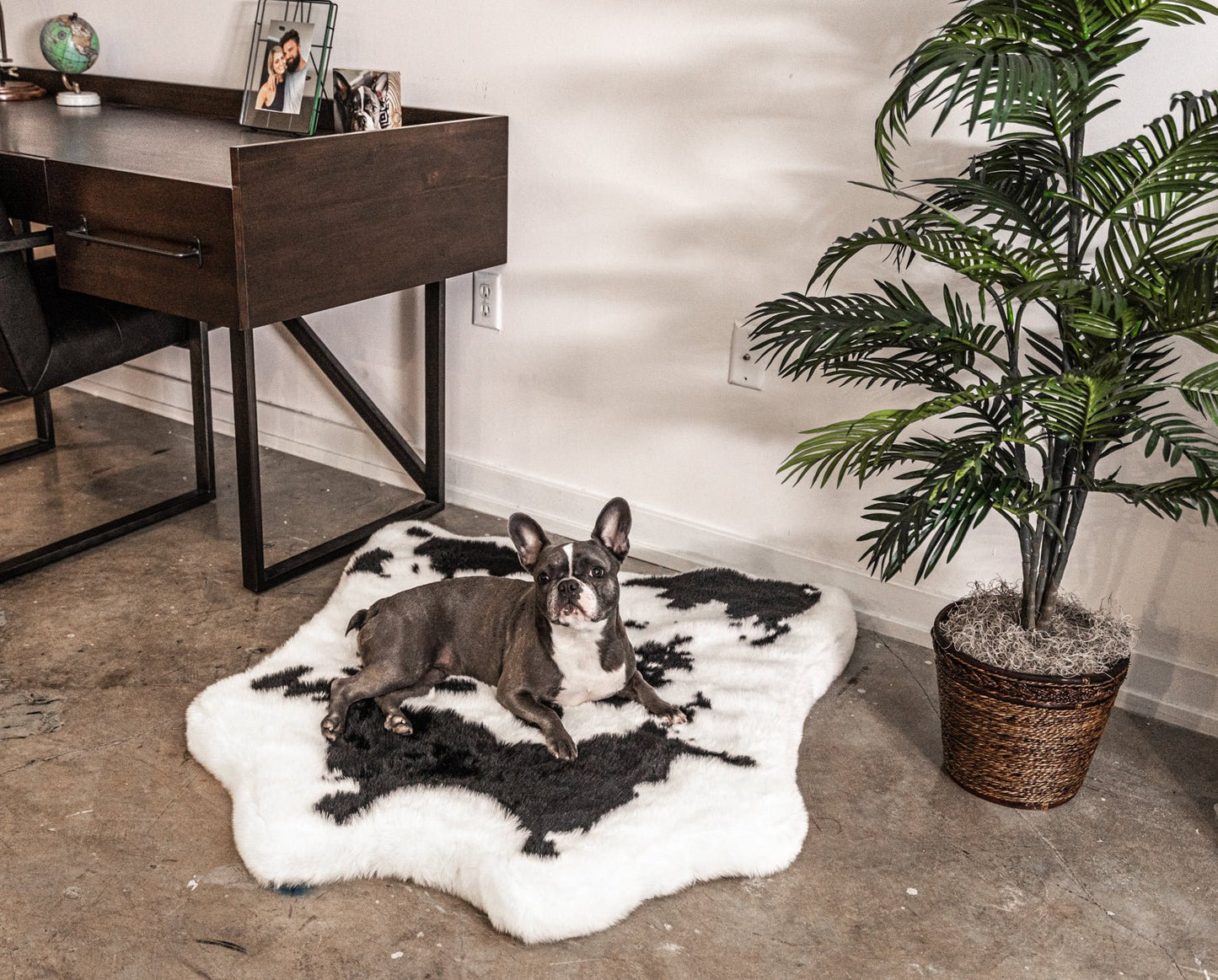 PupRug® Luxueuse Banquette en Mousse à Mémoire avec Imprimé Animal - Tissu Faux Vache Noire