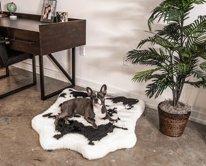 PupRug® Luxueuse Banquette en Mousse à Mémoire avec Imprimé Animal - Tissu Faux Vache Noire