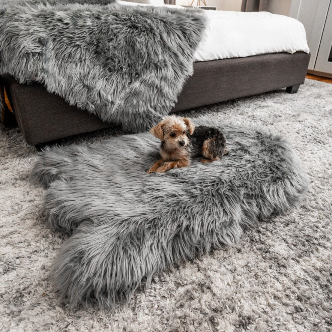 PupRug by Paw.com® Komfortables Faux-Fell Orthopädisches Hundebett – Elegantes Kurven-Design in Anthrazitgrau
