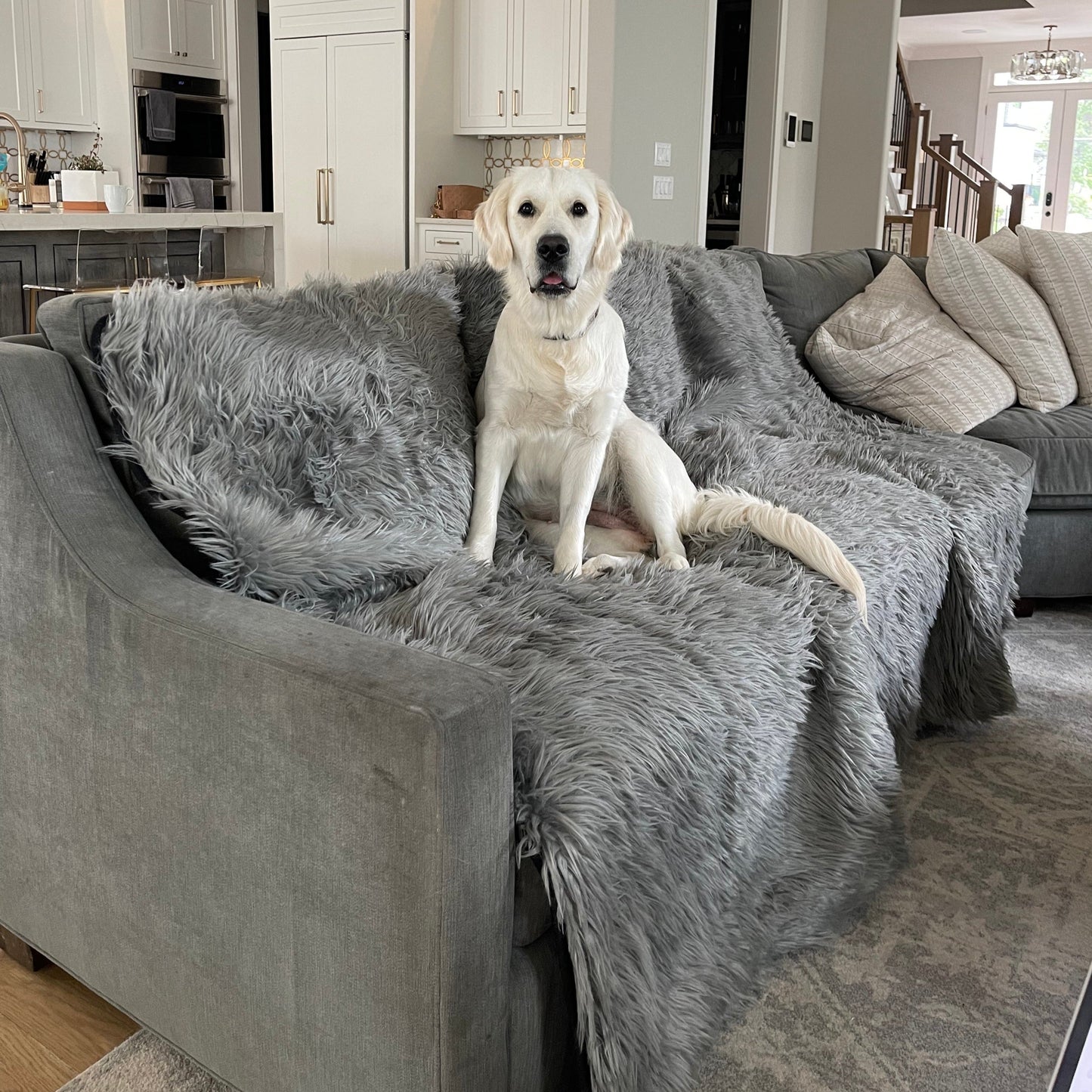 PupProtector™ Wasserfeste Wurfdecke - Kohlegrau