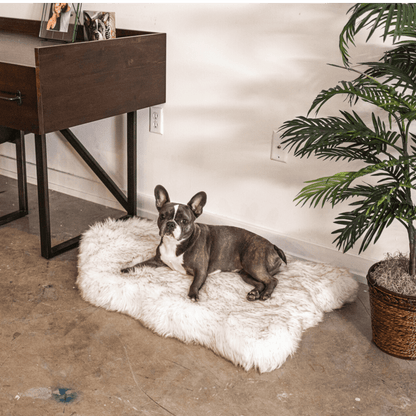 PupRug by Paw.com® Luxueuse Plaid Orthopédique en Faux Furet - Courbe Blanche avec Détails Marron
