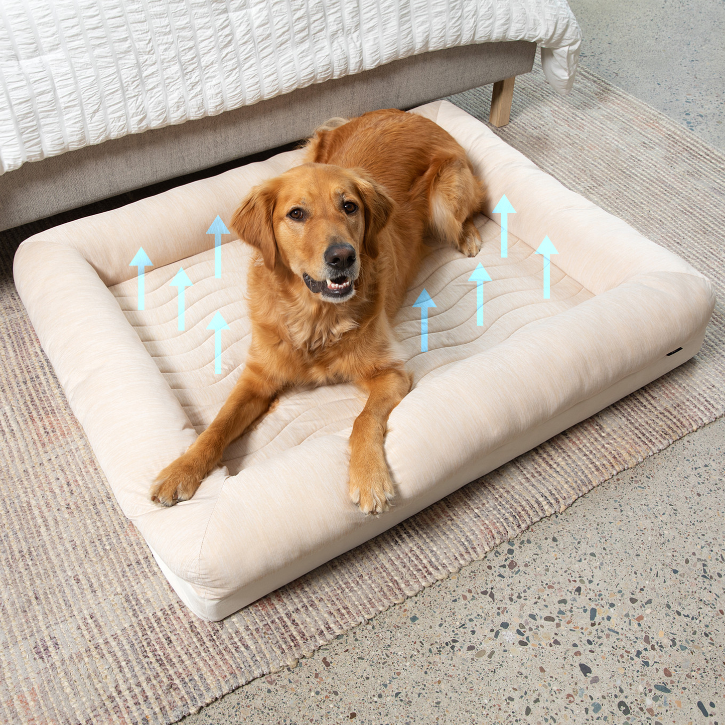 PupChill™ Arctic Sand Cooling Dog Bed with 4 Bolsters for Ultimate Comfort
