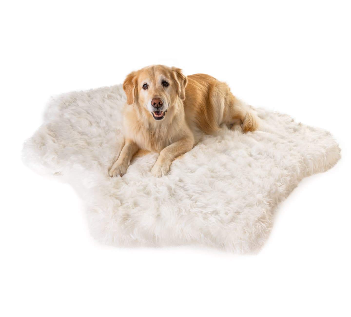 PupRug® Tierische Muster Memory-Schaum Hundebett - Polar Bear Faux Hide Für Ultimalen Komfort