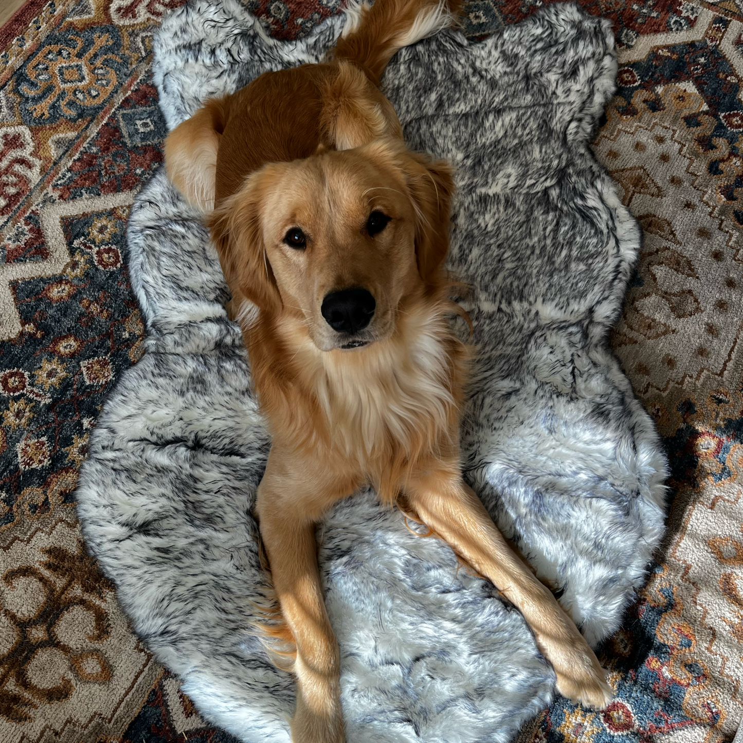 PupRug® Luxe Polaire en Fausse Fourrure Orthopédique pour Chien - Confort Ultra Douillet Renard Arctique