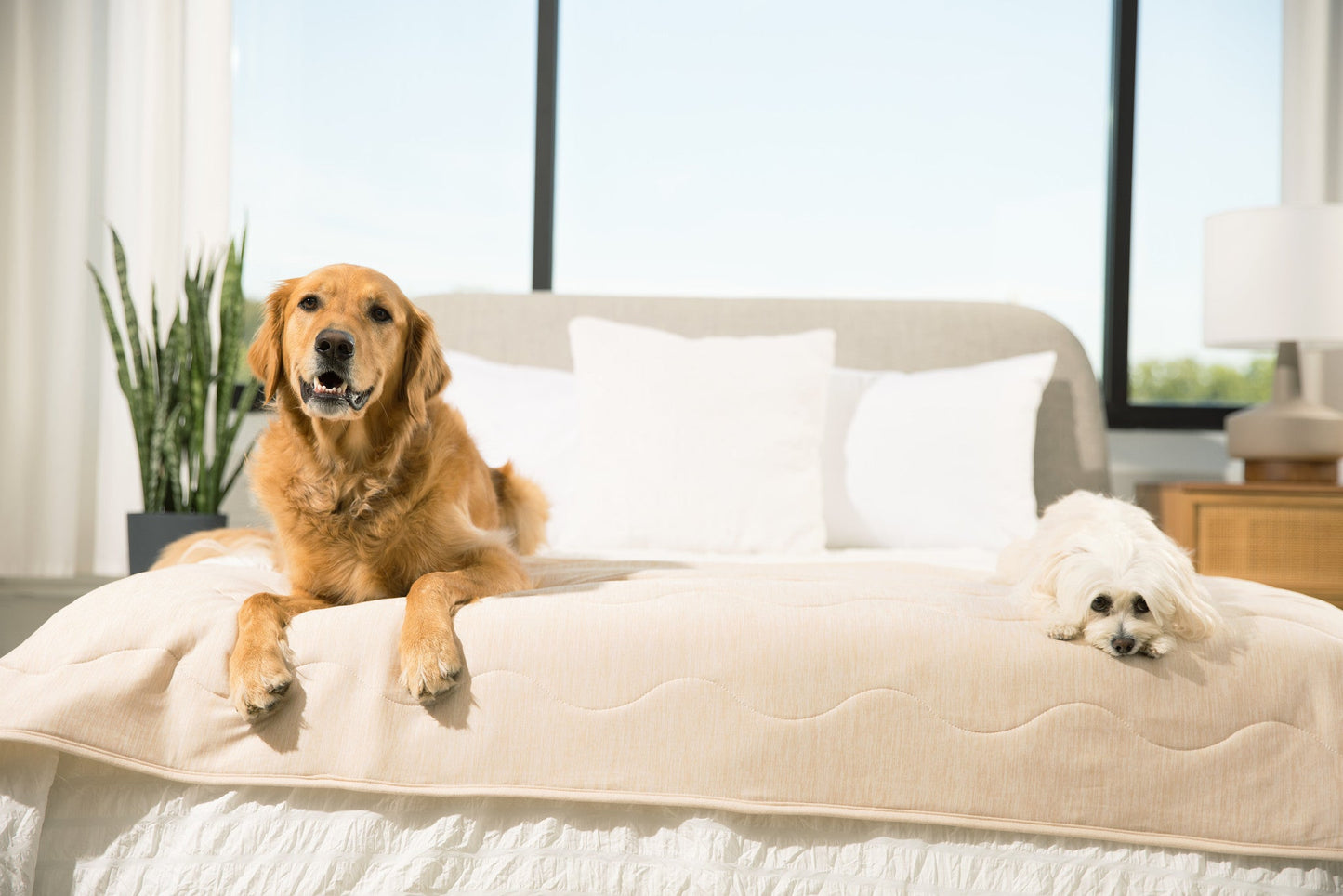 PupChill™ Kühldecke wasserdicht für Läufer – Arctic Sand, super bequem und schützend