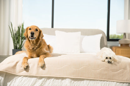 PupChill™ Kühldecke wasserdicht für Läufer – Arctic Sand, super bequem und schützend