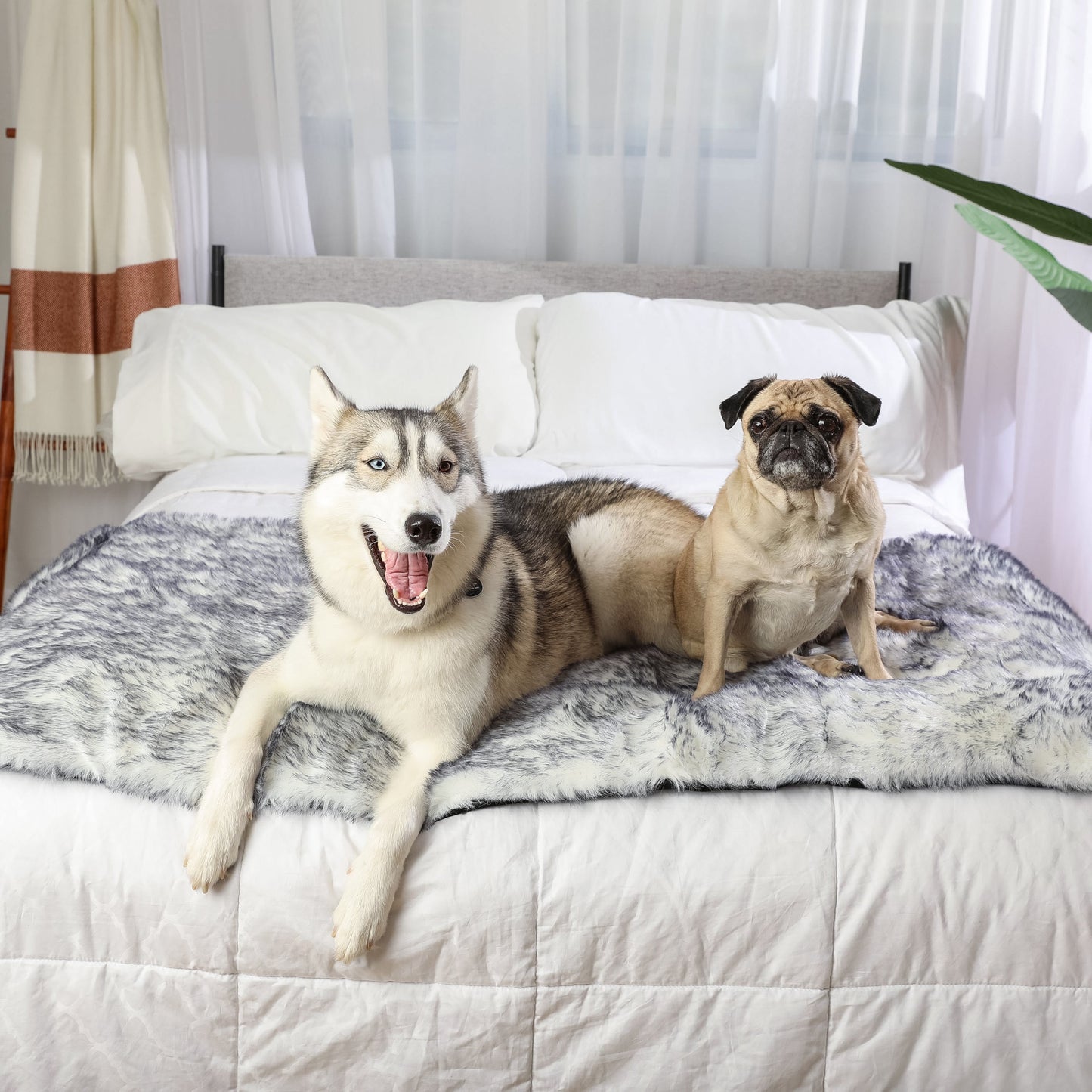 PupProtector™ Luxe Extra-Soft Waterproof Bed Runner with Arctic Fox Design