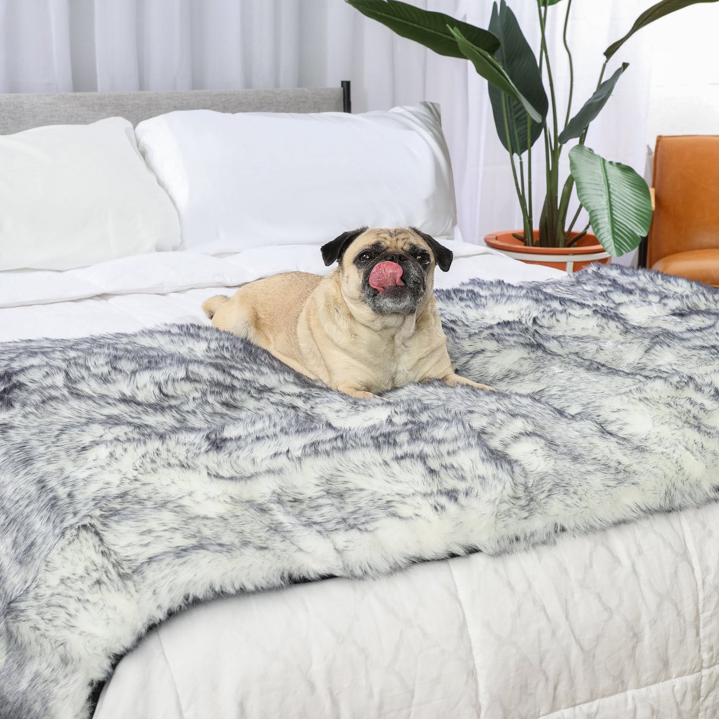 PupProtector™ Luxe Extra-Soft Waterproof Bed Runner with Arctic Fox Design