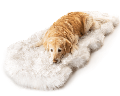 PupRug® Courbé Blanc avec Accents Marron - Matelas en Mousse à Mémoire et Faux Fourrure pour Chien