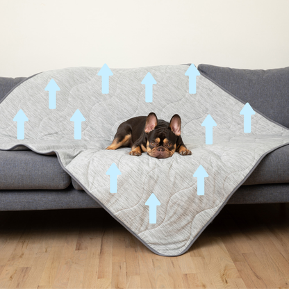 PupChill™ Arctic Grey Waterproof Cooling Blanket for Comfort and Protection