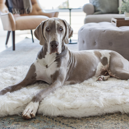 PupRug by Paw.com® Luxueuse Plaid Orthopédique en Faux Furet - Courbe Blanche avec Détails Marron