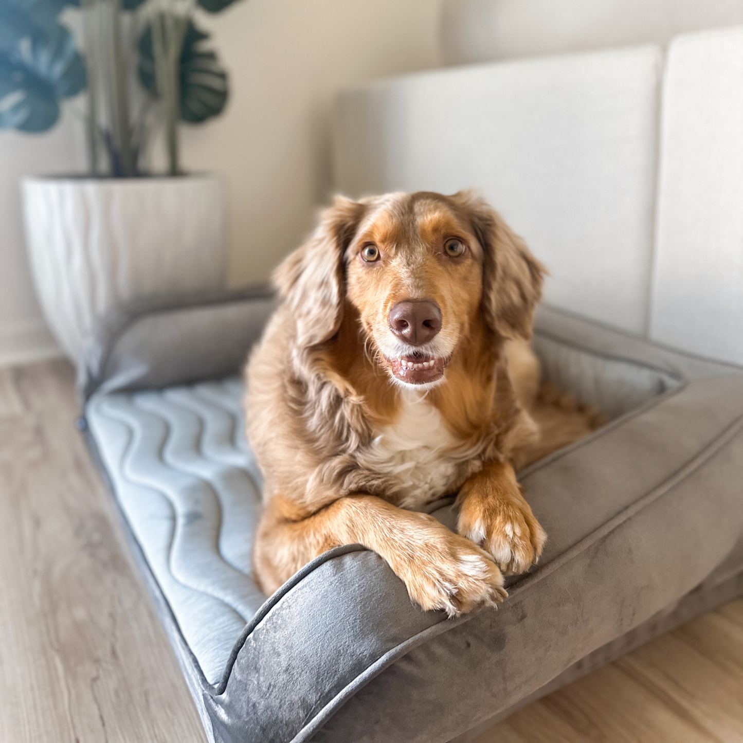 PupChill™ Refroidissante Coussin de Repos pour Chiens