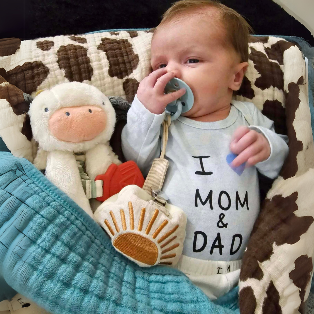 Itzy Lovey™ Plush Toy and Teething Toy for Babies