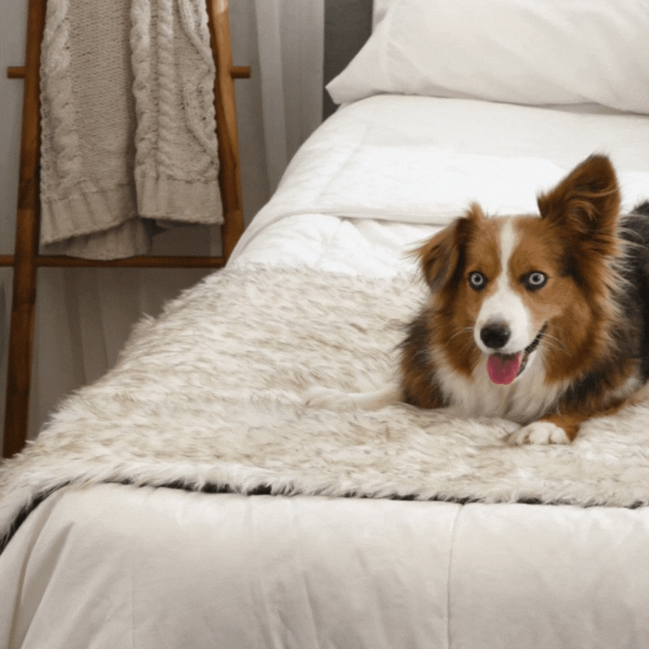 PupProtector™ Waterproof Bed Runner – Elegant White Design with Stylish Brown Accents for Ultimate Protection