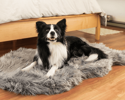 PupRug by Paw.com® Komfortables Faux-Fell Orthopädisches Hundebett – Elegantes Kurven-Design in Anthrazitgrau