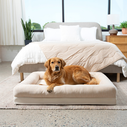 PupChill™ Arctic Sand Cooling Dog Bed with 4 Bolsters for Ultimate Comfort