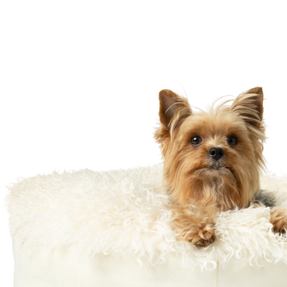 PupPouf™ Luxe Donut Dog Bed en Peluche de Felpa Color Ciervo para Máximo Confort