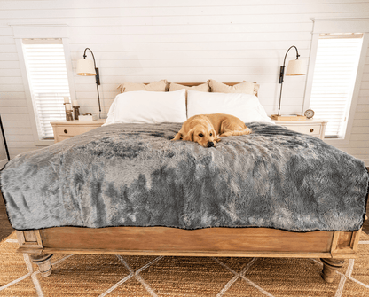 PupProtector™ korte donzen waterdichte deken - Charcoal Grey