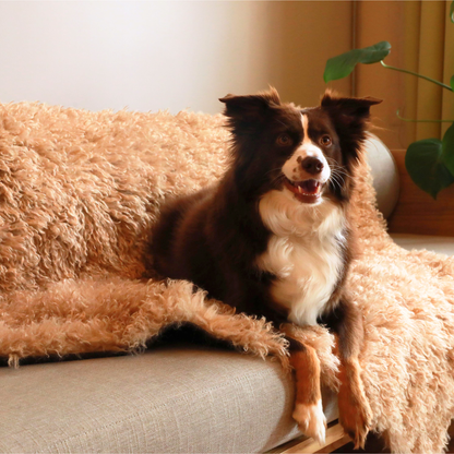 PupProtector™ Luxe Imperméable en Fausse Fourrure - Doux Couverture en Laine de Mouton Taupe