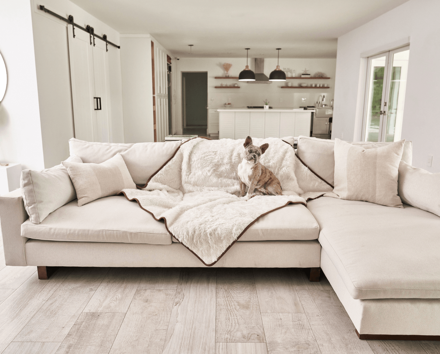 PupProtector™ Kurzhaar Wasserdichter Wurfdeckenschal - Polarweiß