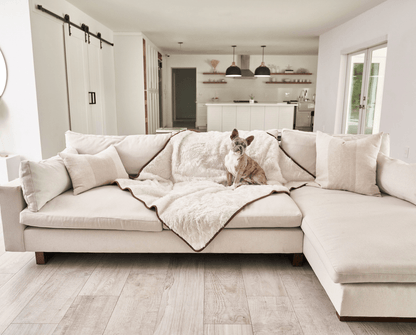 PupProtector™ Kurzhaar Wasserdichter Wurfdeckenschal - Polarweiß