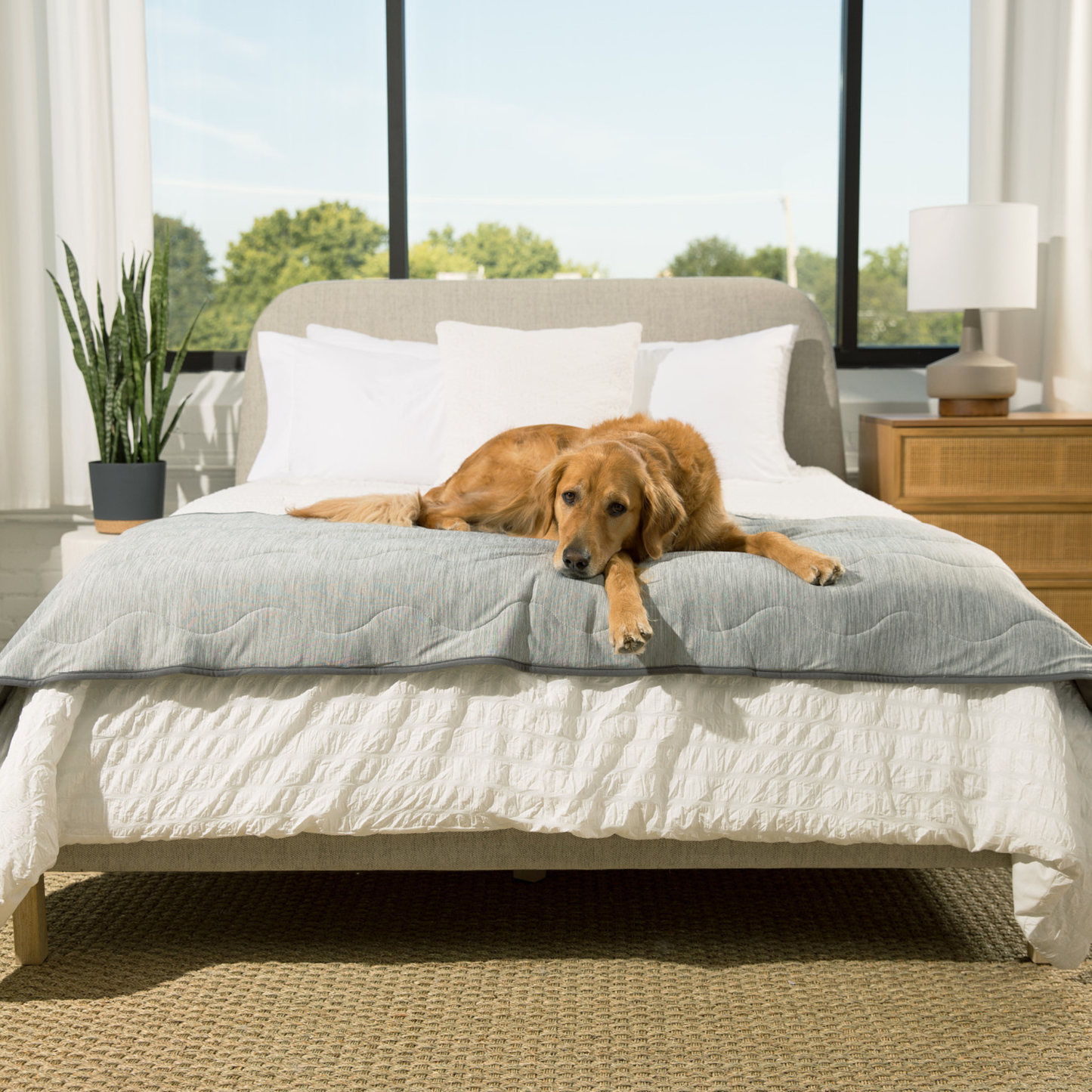 PupChill™ Arctic Grey Waterproof Cooling Runner Blanket for Ultimate Comfort