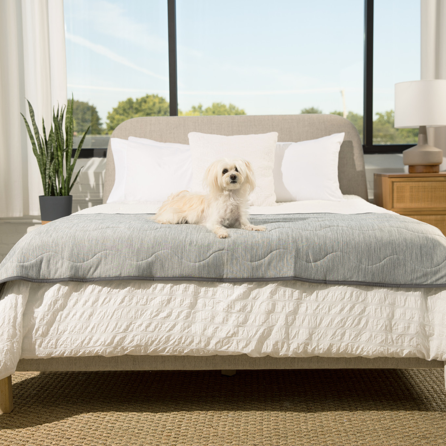 PupChill™ Arctic Grey Waterproof Cooling Runner Blanket for Ultimate Comfort