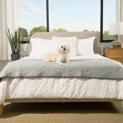 PupChill™ Arctic Grey Waterproof Cooling Runner Blanket for Ultimate Comfort