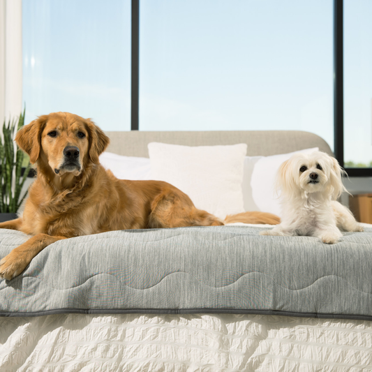 PupChill™ Arctic Grey Waterproof Cooling Runner Blanket for Ultimate Comfort