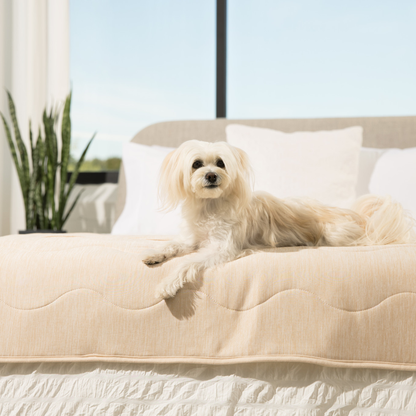 PupChill™ Kühldecke wasserdicht für Läufer – Arctic Sand, super bequem und schützend