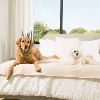 PupChill™ Kühldecke wasserdicht für Läufer – Arctic Sand, super bequem und schützend