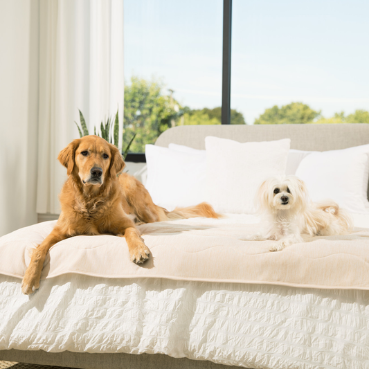 PupChill™ Kühldecke wasserdicht für Läufer – Arctic Sand, super bequem und schützend