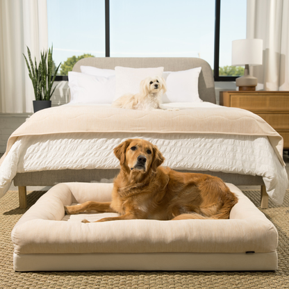 PupChill™ Kühldecke wasserdicht für Läufer – Arctic Sand, super bequem und schützend