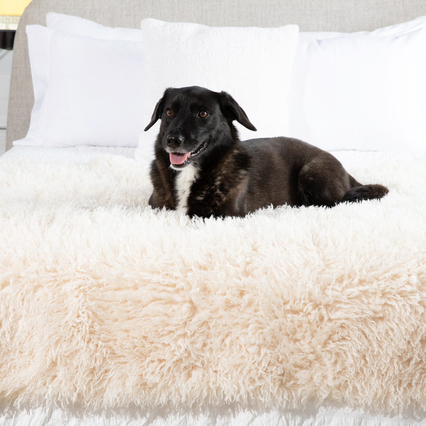 PupProtector™ Luxe Waterdichte Faux Fur Deken - Pluche Schapenwolvengrijs