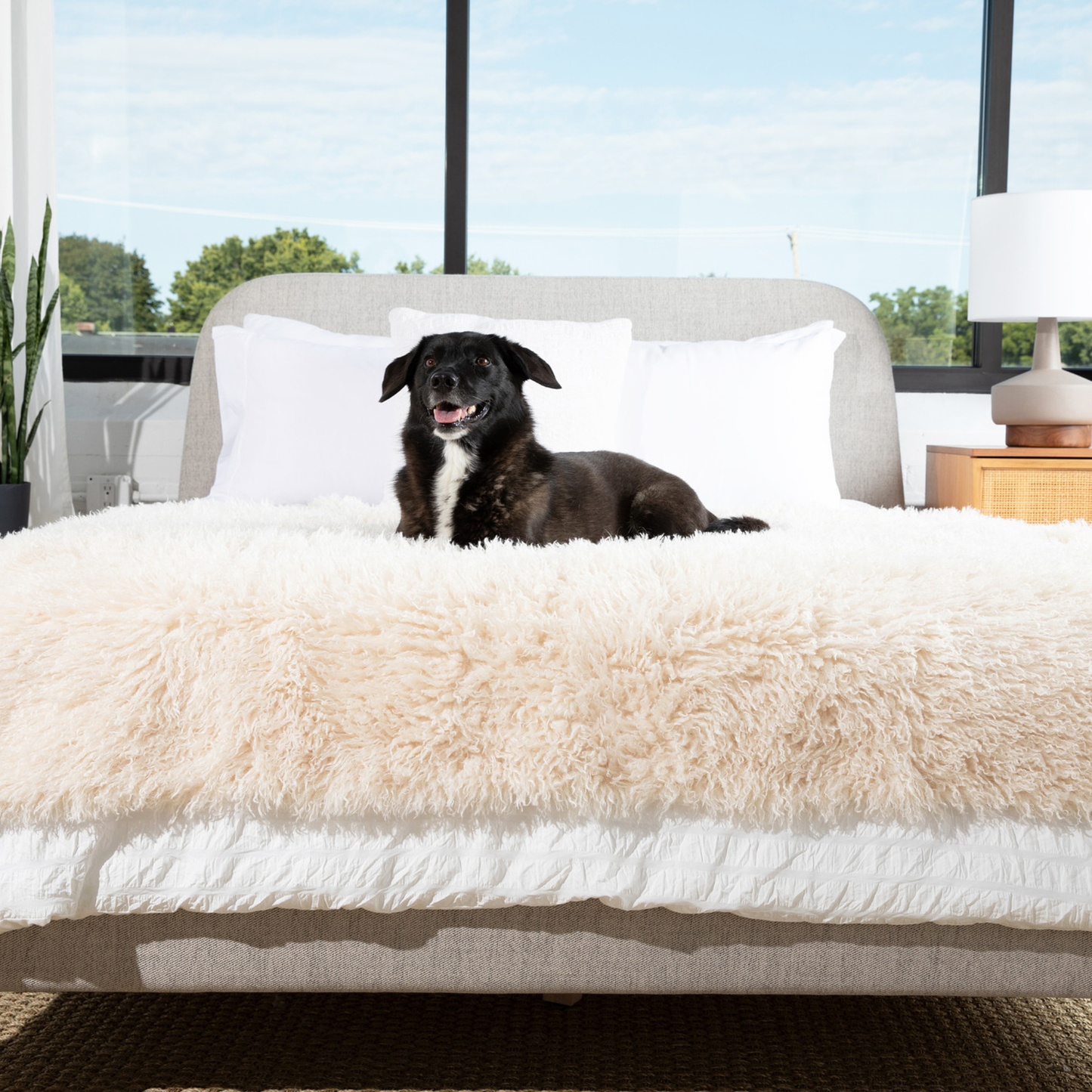 PupProtector™ Luxe Waterdichte Faux Fur Deken - Pluche Schapenwolvengrijs