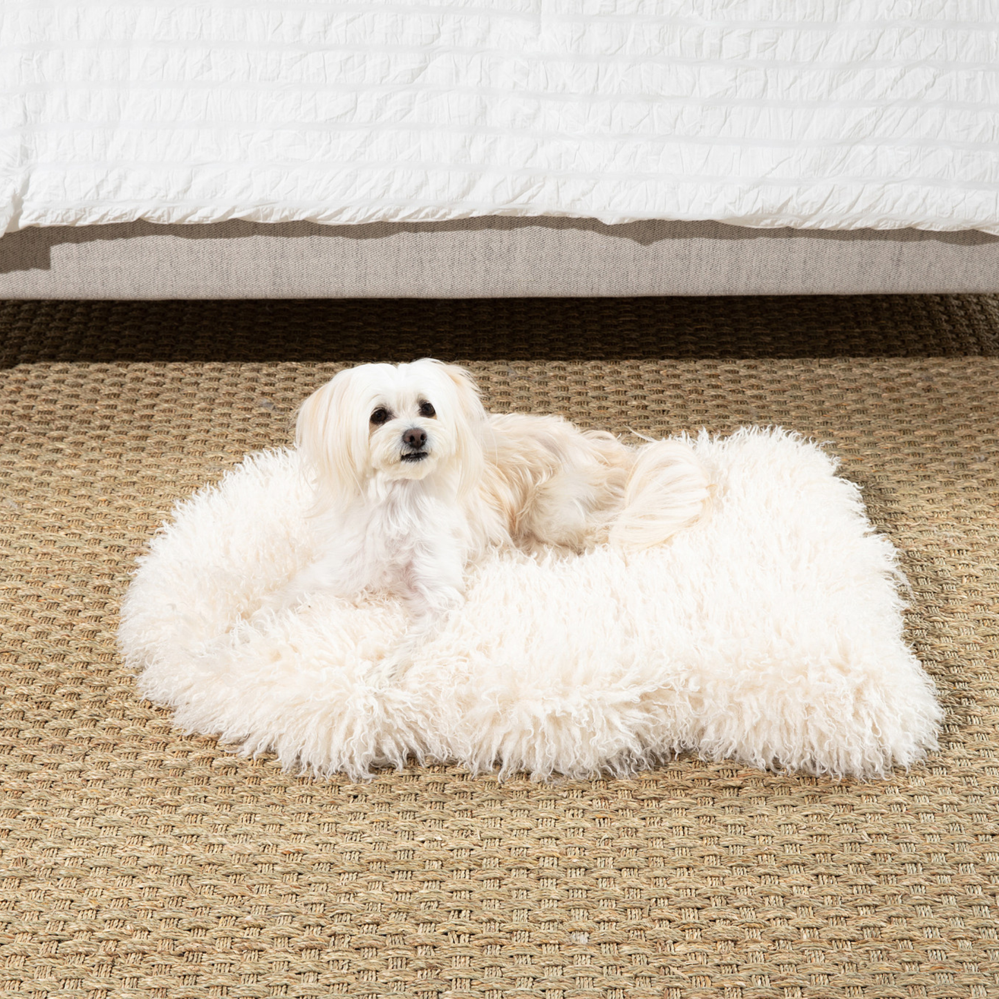 PupRug® Luxe Faux Fur Orthopedic Hundebett – Weiches Schafsvlies in Elfenbeinoptik