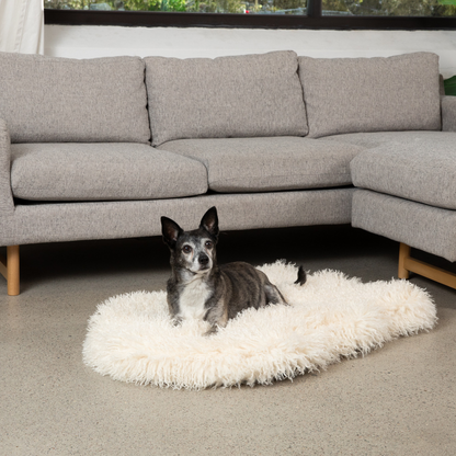 PupRug® Luxe Faux Fur Orthopedic Hundebett – Weiches Schafsvlies in Elfenbeinoptik